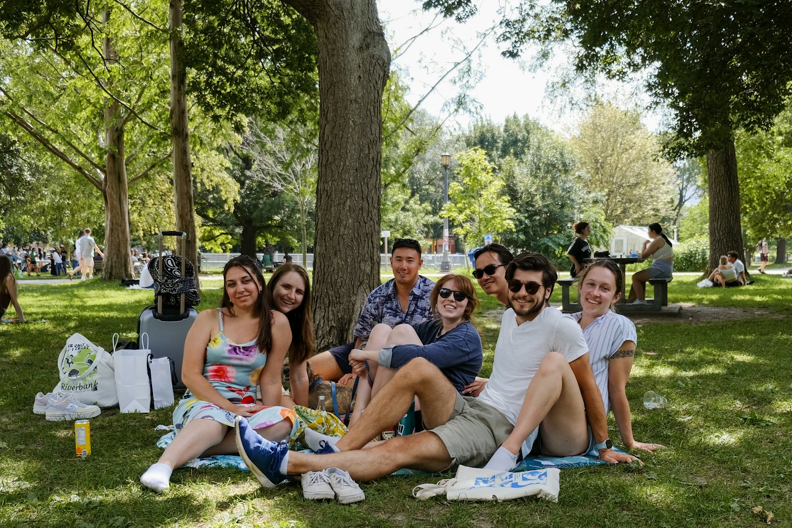 加拿大夏季公园里一群多元背景的年轻人户外聚会,充满活力