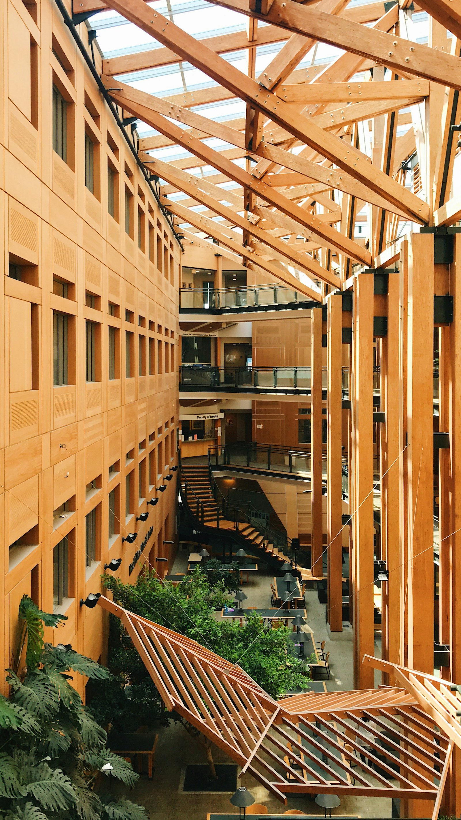 加拿大学院现代化木质结构室内公共空间，采光充足，学生分散在各处自习和讨论