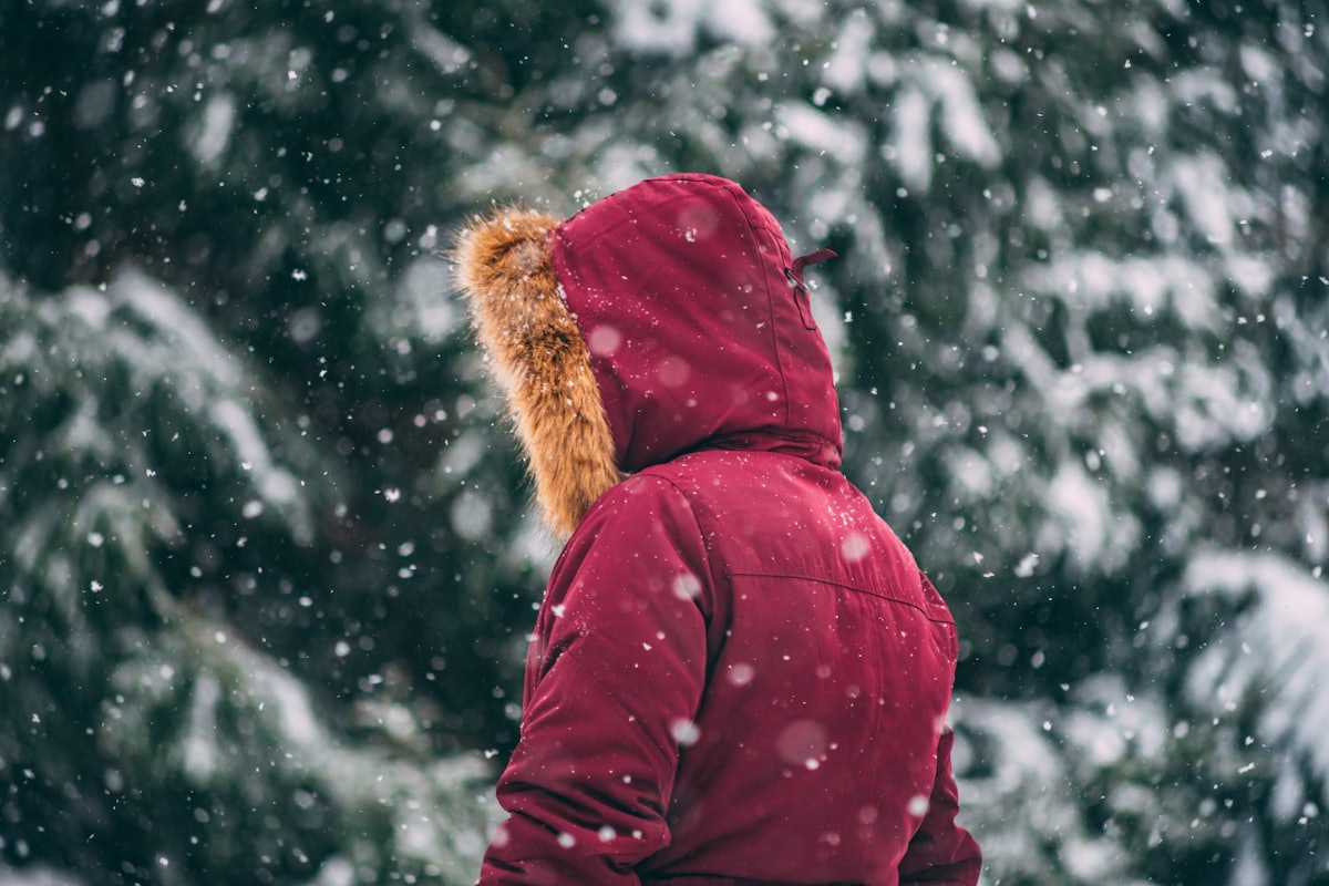 穿着鲜红色羽绒服的人在加拿大雪地里,展示冬季保暖装备的必要性