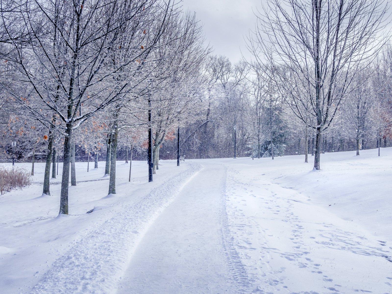 加拿大冬日雪景,积雪覆盖的公园小径