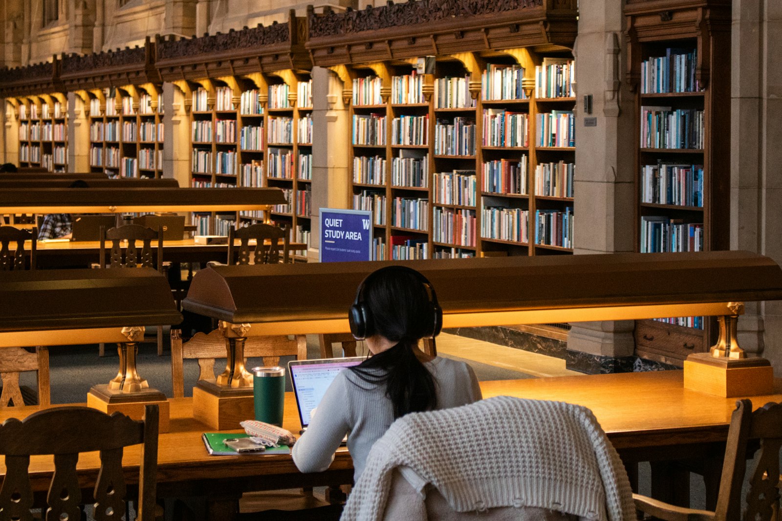 图书馆安静学习区,留学生专注使用笔记本电脑自习