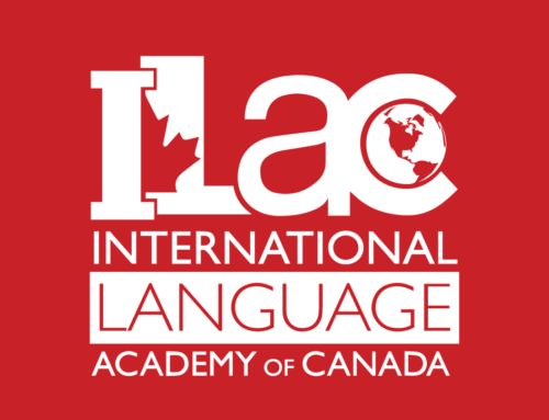记录我在ILAC语言学校7个月的真实学习体验